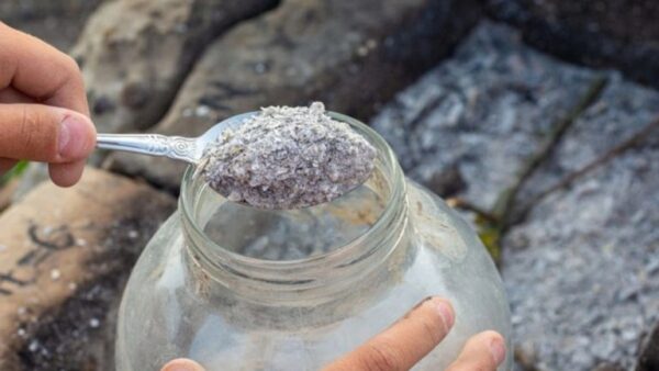 O que fazer com cinza de madeira? 10 utilizações práticas no jardim e em casa!