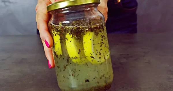 O remédio natural mais eficaz contra moscas e mosquitos: você nunca mais os verá