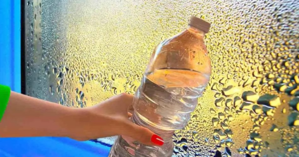 O segredo da minha avó para tirar a umidade de casa: basta uma garrafa