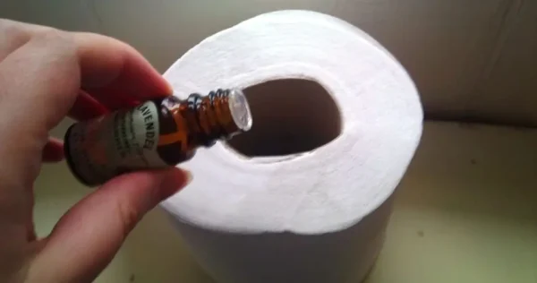 O segredo das empresas de limpeza japonesas para perfumar o banheiro em 3 segundos