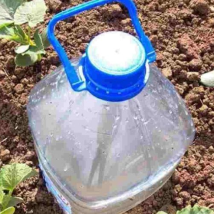 O sistema mais simples para regar pepinos, tomates, abobrinhas, melancias e melões