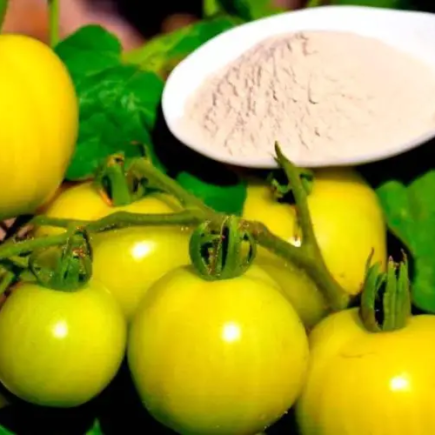O suplemento orgânico mais poderoso para temperar pepinos, tomates e pimentões