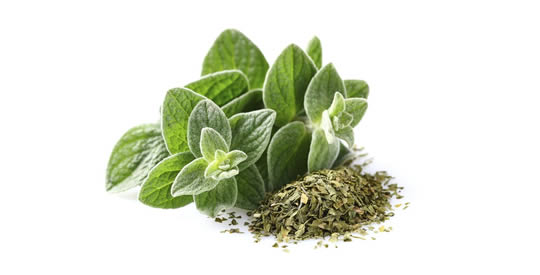 O tempero antioxidante que combate os radicais livres, previne o câncer e cura tosse e asma