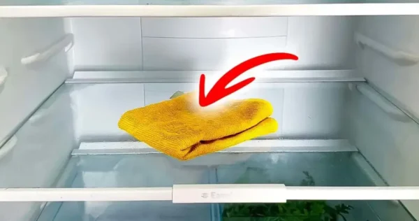 O truque brilhante para eliminar todos os maus odores da geladeira (mesmo os mais teimosos)