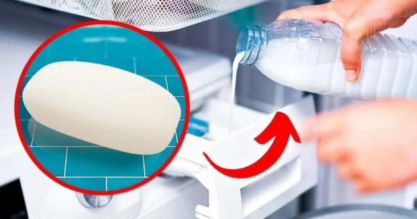 O truque brilhante para transformar sabão em detergente líquido para máquina de lavar: sua roupa ficará muito cheirosa