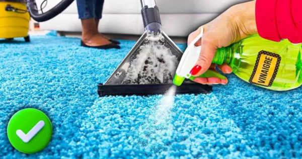 O truque do hotel para manter os tapetes limpos. É por isso que eles parecem novos mesmo depois de 20 anos