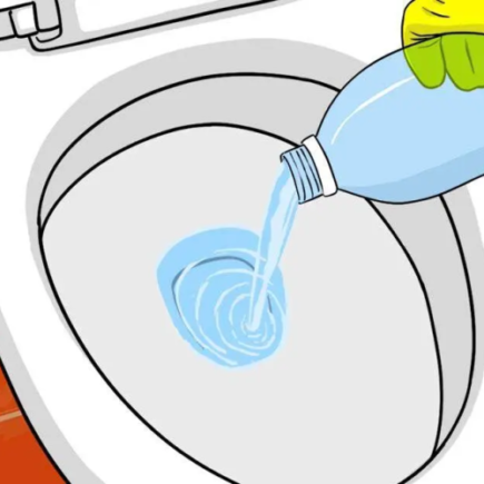 O truque do hotel para ter sempre um banheiro perfumado: despeje essa mistura no vaso sanitário