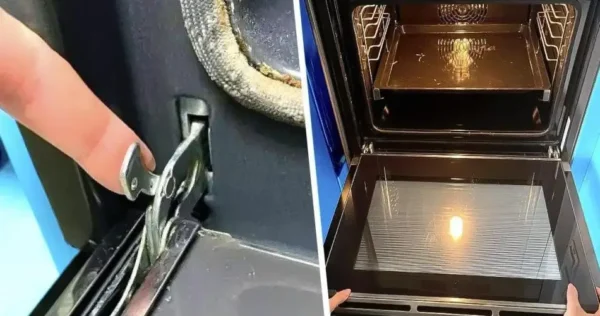 O truque para limpar um forno sujo e entupido: você pode pressionar o botão secreto para obter um resultado perfeito
