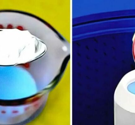 O truque simples por 0,20 euros para perfumar a casa e eliminar os maus cheiros