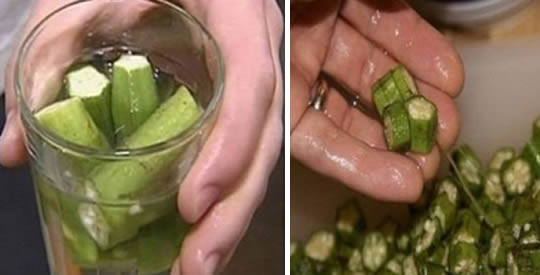 O vegetal que trata diabetes, asma, colesterol e doenças respiratórias