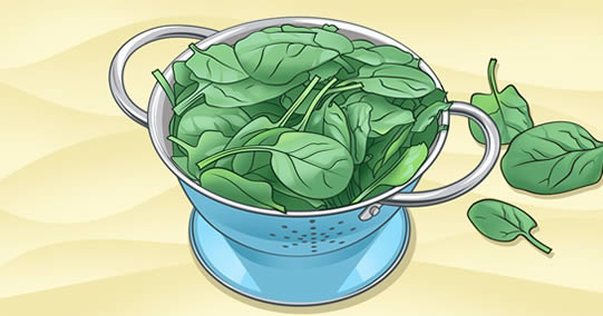 Os 12 alimentos mais ricos em nutrientes do mundo