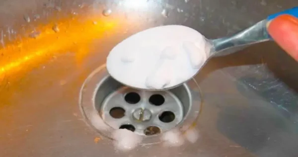 Os encanadores mantiveram esse segredo de nós até então