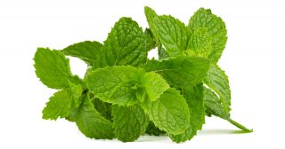 Os incríveis benefícios da hortelã