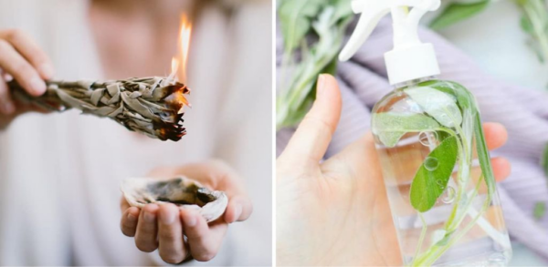 Os incríveis benefícios da sálvia para a nossa saúde