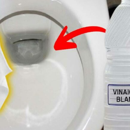 Papel higiênico embebido em vinagre sendo jogado no vaso sanitário: o que acontece vai te cativar