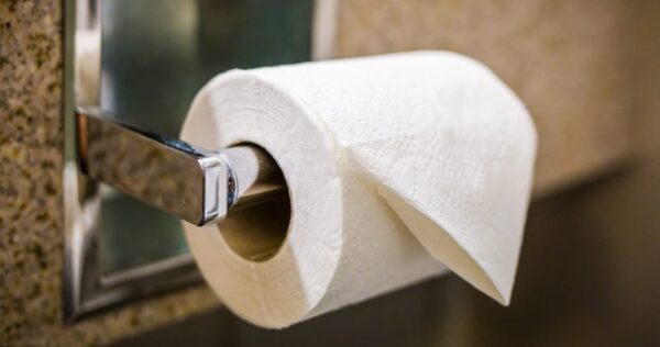 Papel higiênico, para que servia antes de sua invenção? Insuspeito