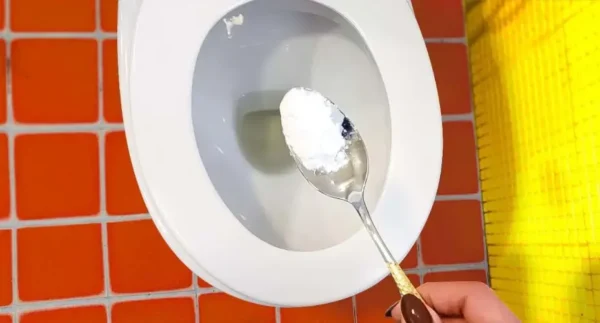 Para um banheiro super limpo, coloque este ingrediente e você não conseguirá mais ficar sem ele