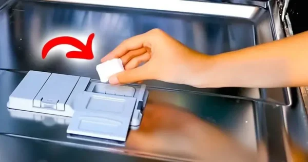 Pastilhas para lava-louças: a receita natural para parar de comprá-las