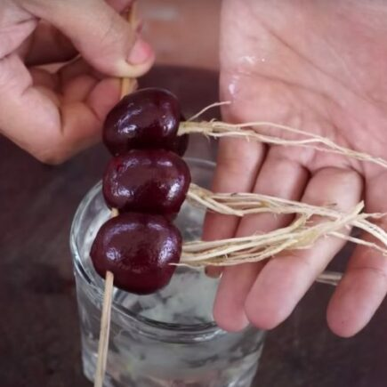 Plante uma cerejeira em 20 dias usando o truque do coração partido: uma semente é suficiente