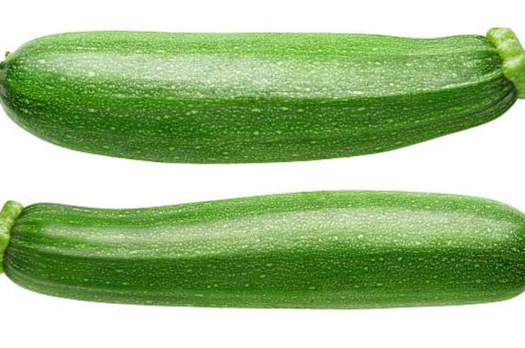 Zuchinis