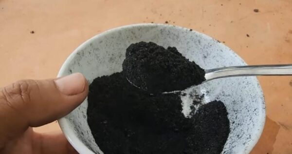 Polvilhe uma colher de sopa e você verá as flores e raízes da orquídea crescerem sem parar.