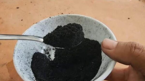 Polvilhe uma colher por cima e você verá as flores e raízes da orquídea crescerem sem parar