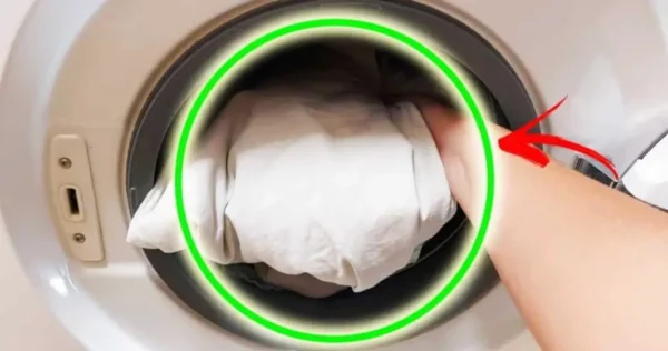 Por que a roupa fica com cheiro de umidade na máquina de lavar mesmo depois de lavada?