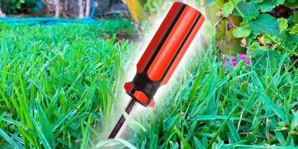 Por que é aconselhável enfiar uma chave de fenda no chão? O truque inteligente de jardineiros experientes