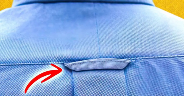 Por que as camisas masculinas têm fivela nas costas? poucas pessoas sabem disso