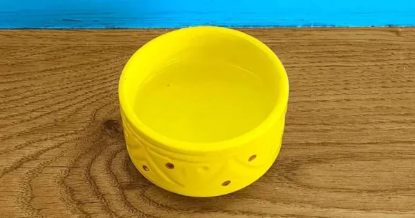 Por que colocar vinagre em uma tigela em diferentes lugares da casa?