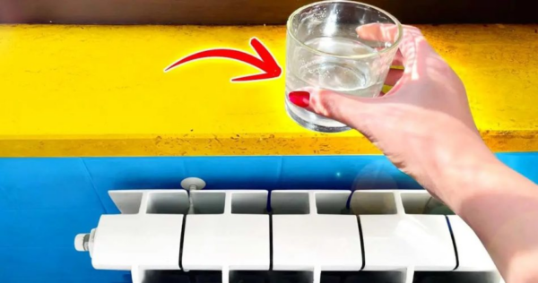 Por que é importante deixar sempre um copo d’água próximo ao radiador?