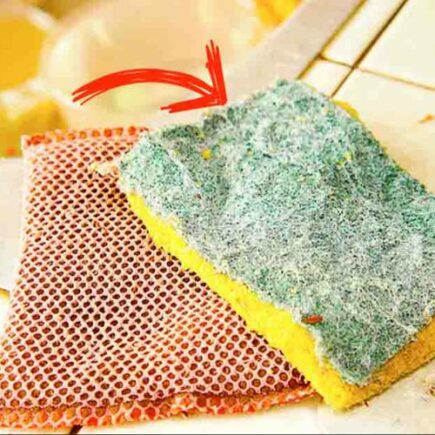 Por que é importante trocar a esponja de lavar louça toda semana?