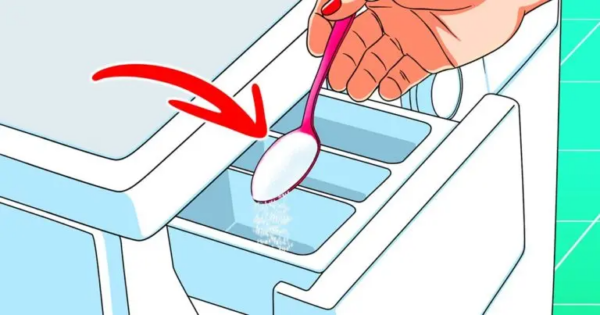 Por que é inteligente colocar açúcar na máquina de lavar? Esta é a solução eficaz para um problema comum