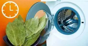 Por que você deve colocar folhas de louro na máquina de lavar?