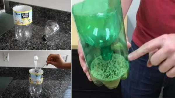 Pour que toutes les fleurs du jardin ou du balcon fleurissent en continu : faites-le une fois par mois