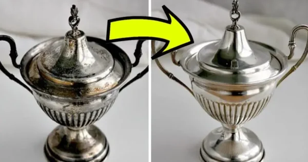 Prata Brilhante: Esta é a cura infalível da vovó, experimente!