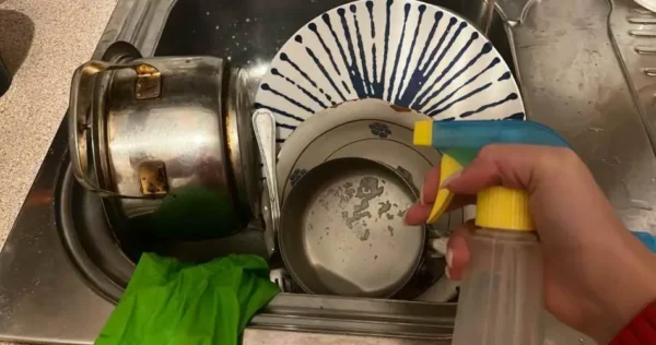 Pulverize na louça suja, você economizará água e luz: chega de contas altas