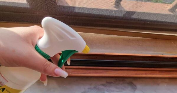 Pulverize nos trilhos das janelas – insetos, percevejos e moscas desaparecerão