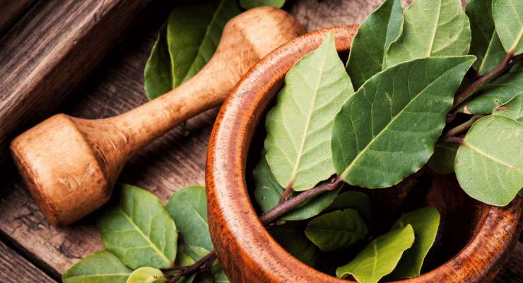 Mantenha os insetos longe