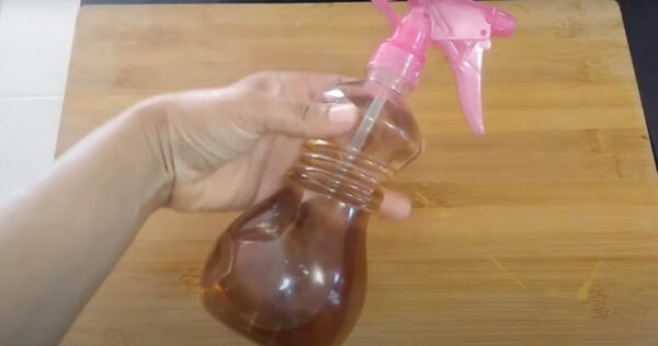 Pulverize pela casa e mantenha os insetos longe; Você não o verá voar novamente.