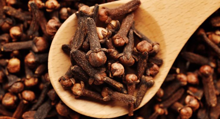 Mantenha os insetos longe