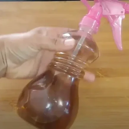 Pulverize pela casa e mantenha os insetos longe – você não verá uma única mosca novamente.