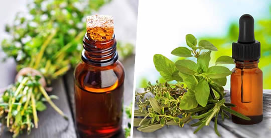 Quais são os antibióticos naturais mais poderosos?