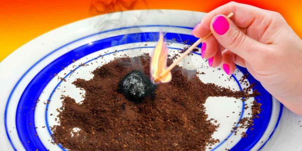 Queime a borra de café e veja o que acontece: é a solução para o maior problema do verão
