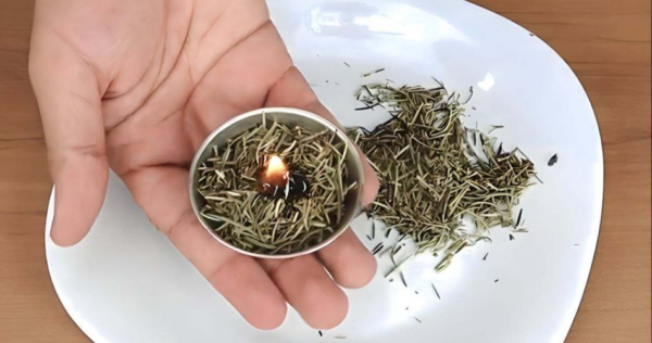 Queime alecrim dentro de casa, surpreendendo o que acontece poucos minutos depois