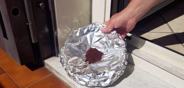 Remédio natural e econômico contra mosquitos: como mantê-los afastados