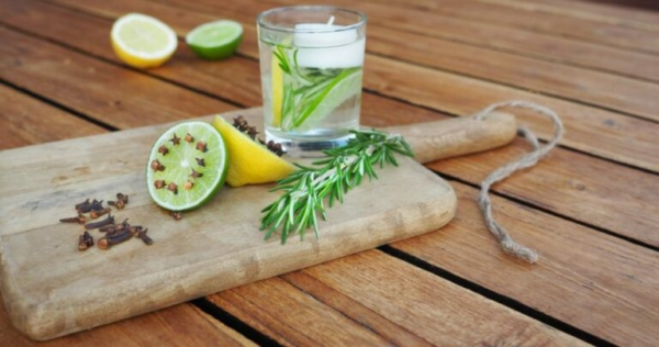 Repelente natural de mosquitos: descubra a eficácia surpreendente destas 5 plantas!