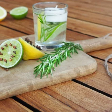 Repelente natural de mosquitos: descubra a surpreendente eficácia destas 5 plantas!