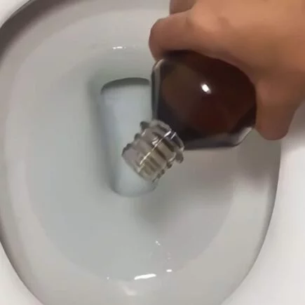 Revelou o truque caseiro para manter o banheiro livre de manchas, maus odores e insetos