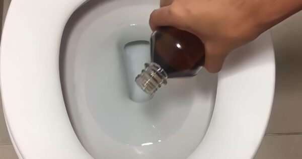 Revelou o truque caseiro para ter um banheiro livre de manchas, maus odores e insetos